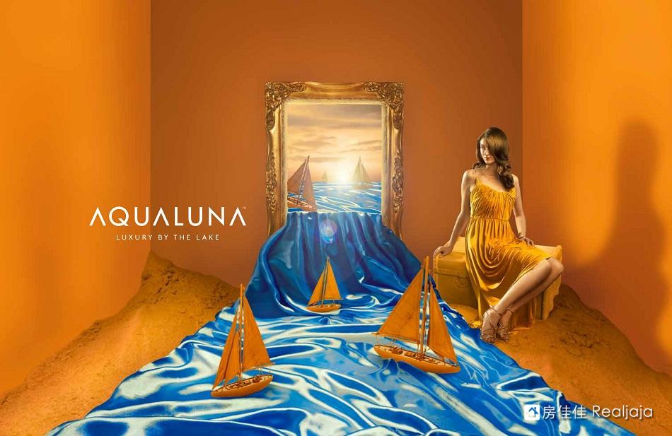 Aqualuna Developer